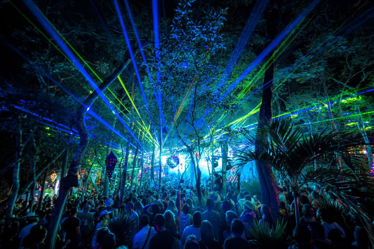 Lasers over a crowd dancing in the jungle at Day Zero